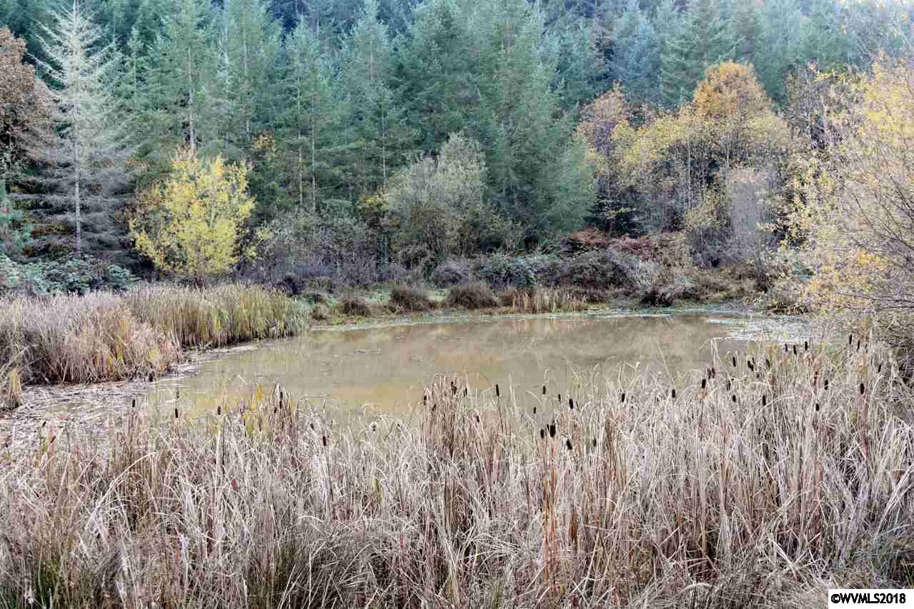 0 Hungry Hill Road Scio, OR 97374 - Photo 18 of 33 Gallery Image 18