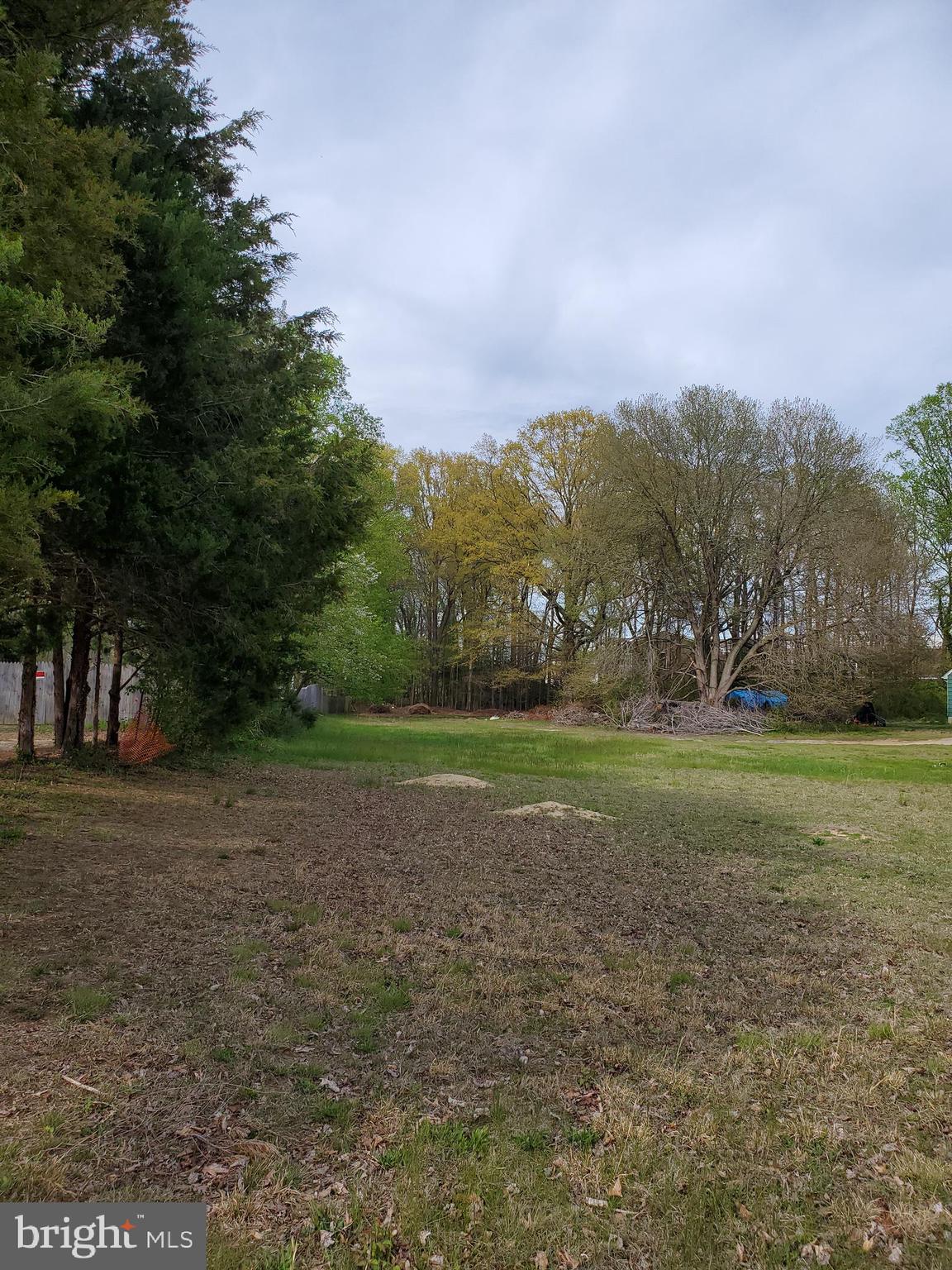 927 Old Annapolis Neck Road Annapolis, MD 21403 - Photo 3 of 9 a view of a field with trees