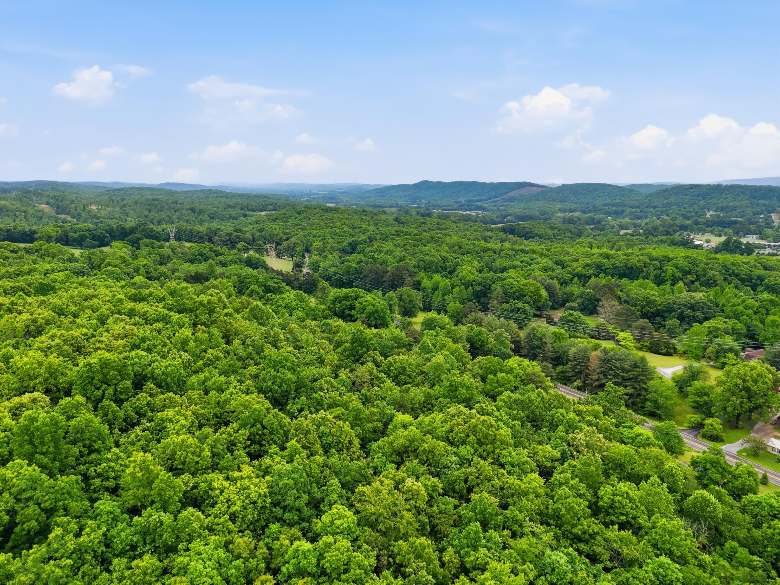1301 River Road Decatur, TN 37322 - Photo 31 of 31 dji_20260507104317_0256_d