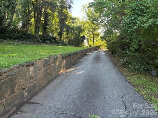 255 Glengarnock Road Tryon, NC 28782 - Photo 3 of 24