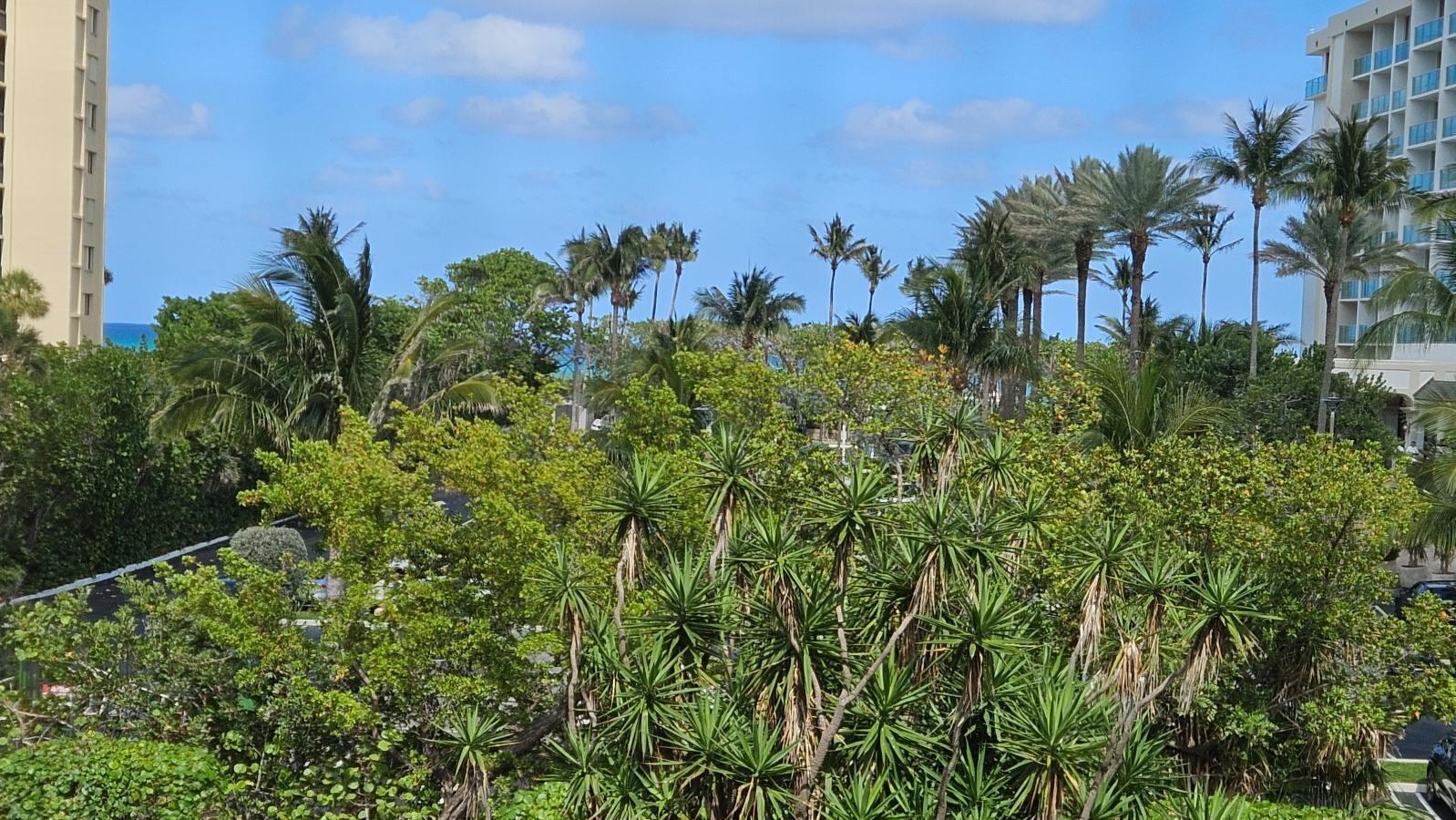 500 Ocean Trail Way, Unit 307 Jupiter, FL 33477 - Photo 18 of 18 a view of a garden