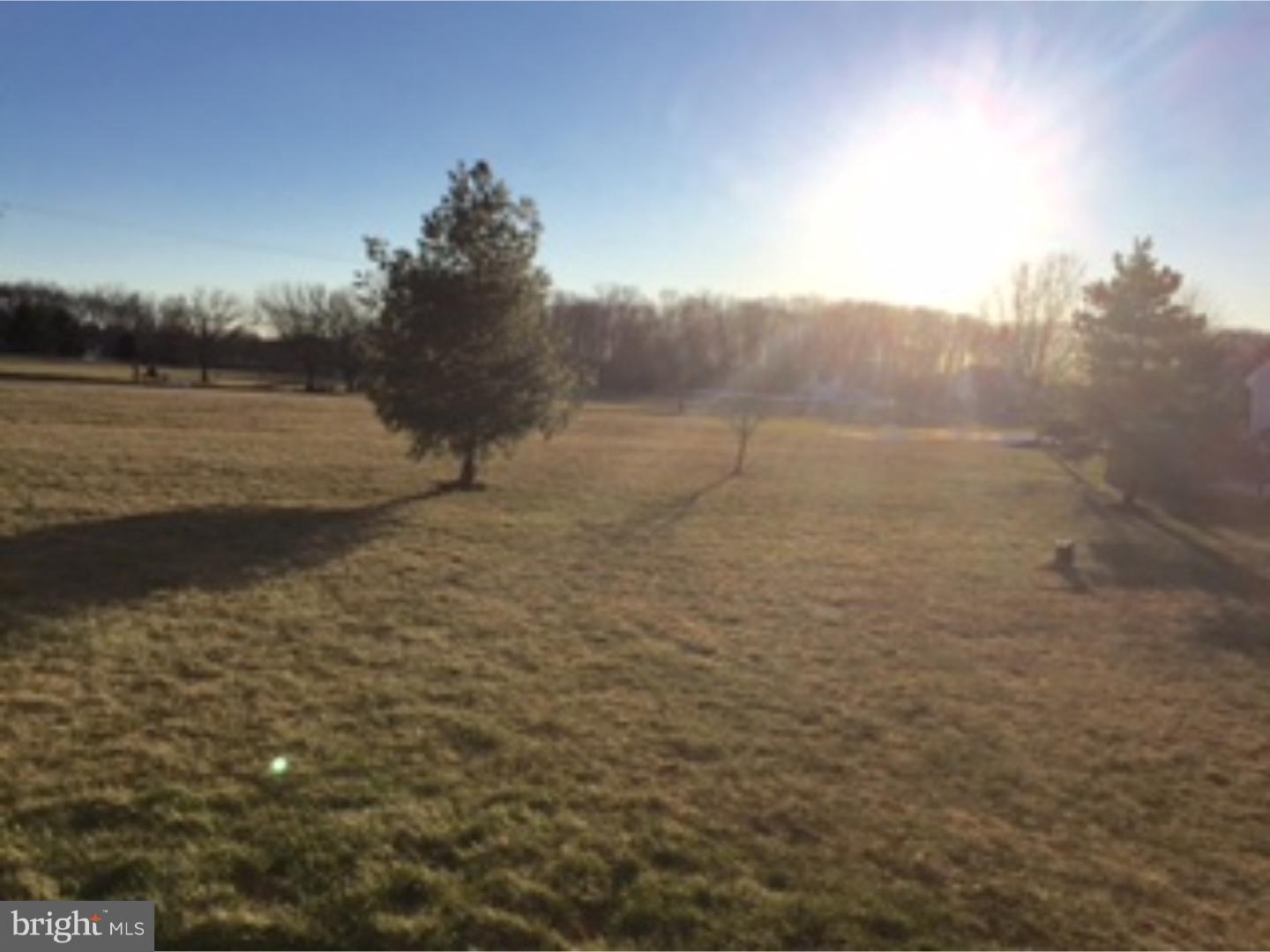 905 Elephant Road Perkasie, PA 18944 - Photo 5 of 25 View from Front Door