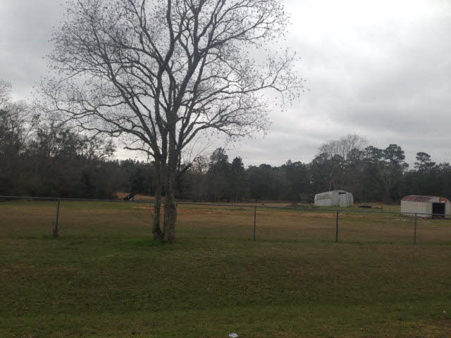 15050 Barlow Road Loxley, AL 36551 - Photo 2 of 7