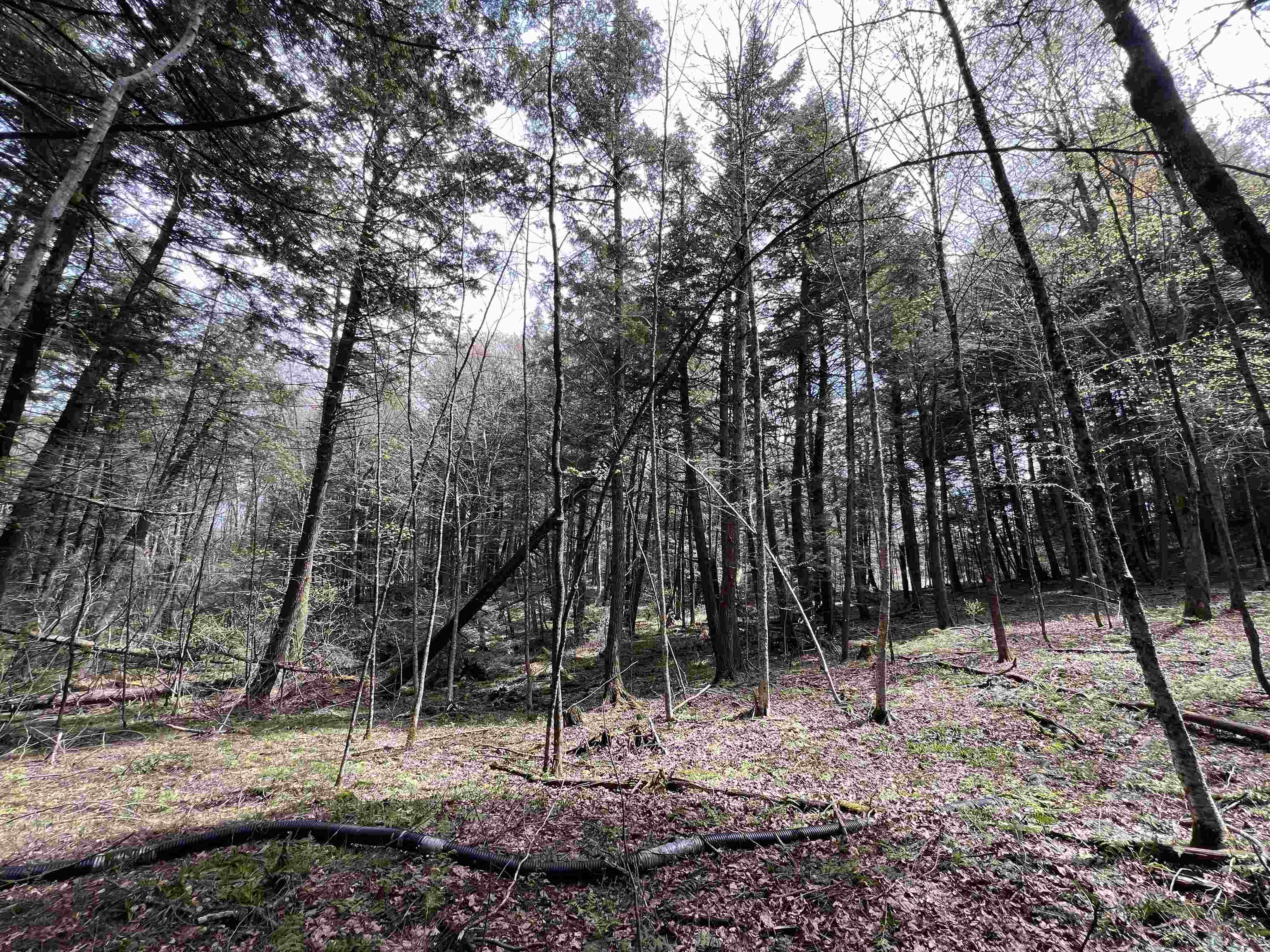 322 Coffin Road St. Johnsbury, VT 05819 - Photo 39 of 42 Gallery Image 39