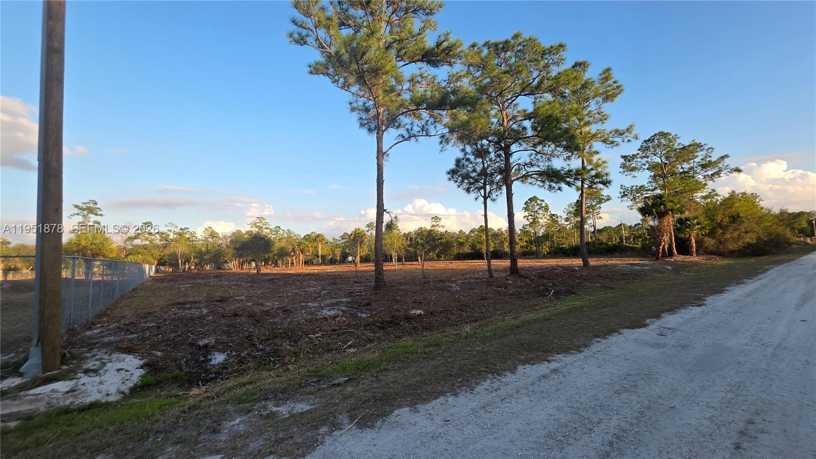 545 South Datil Street Clewiston, FL 33440 - Photo 3 of 13 a view of a yard with a tree