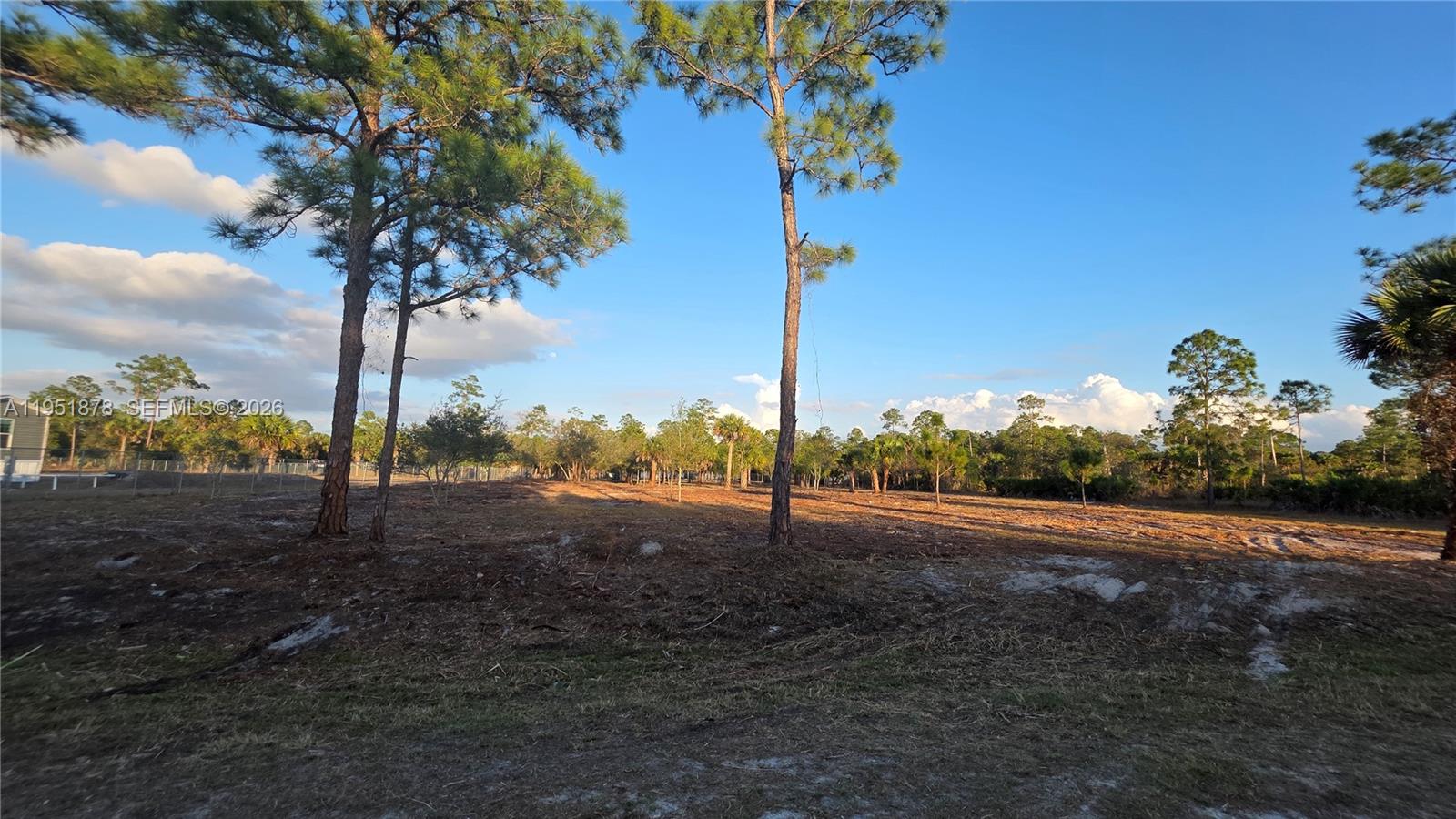 545 South Datil Street Clewiston, FL 33440 - Photo 4 of 13 a view of a yard with iron fence
