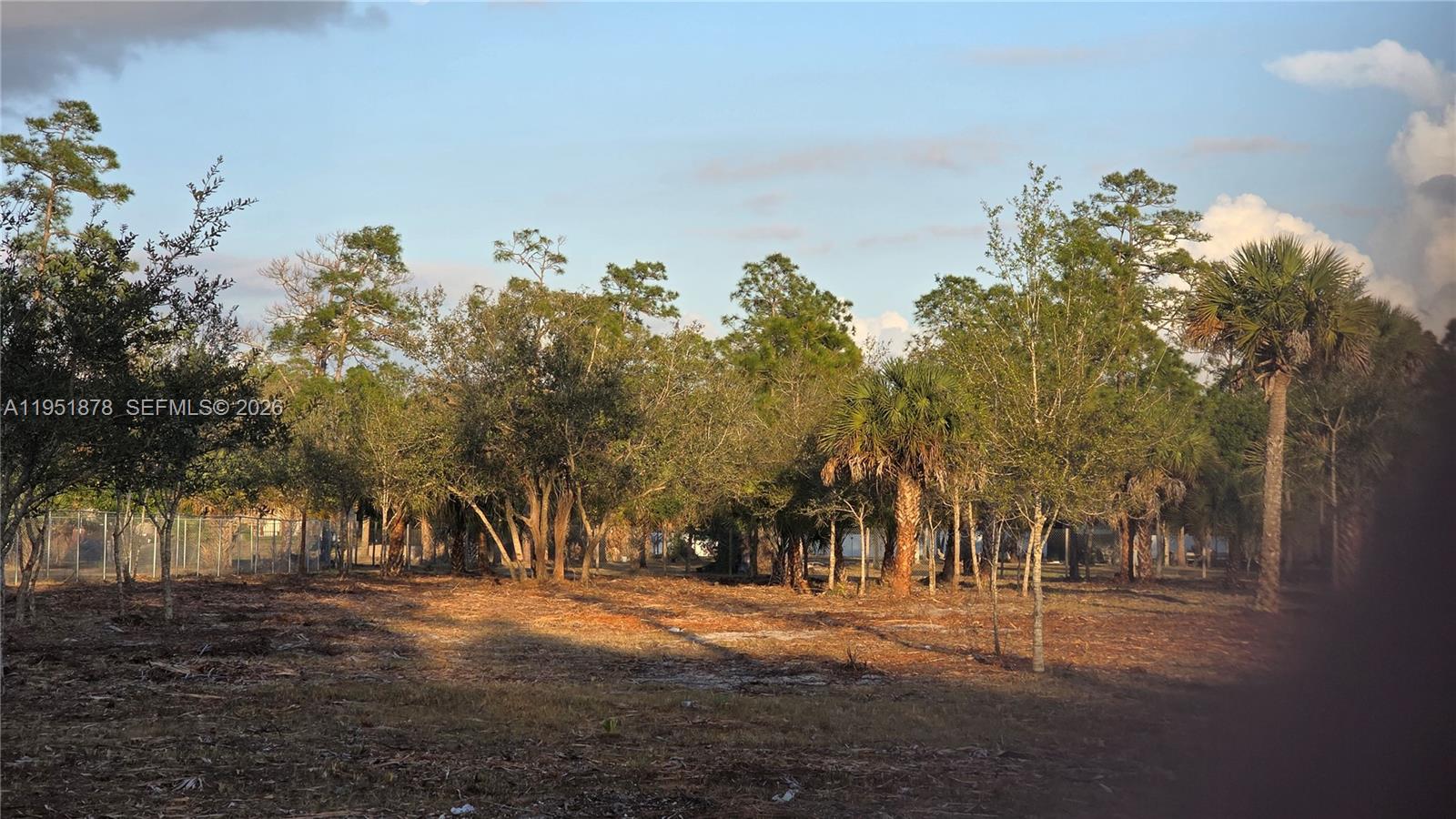 545 South Datil Street Clewiston, FL 33440 - Photo 5 of 13 a view of road with trees