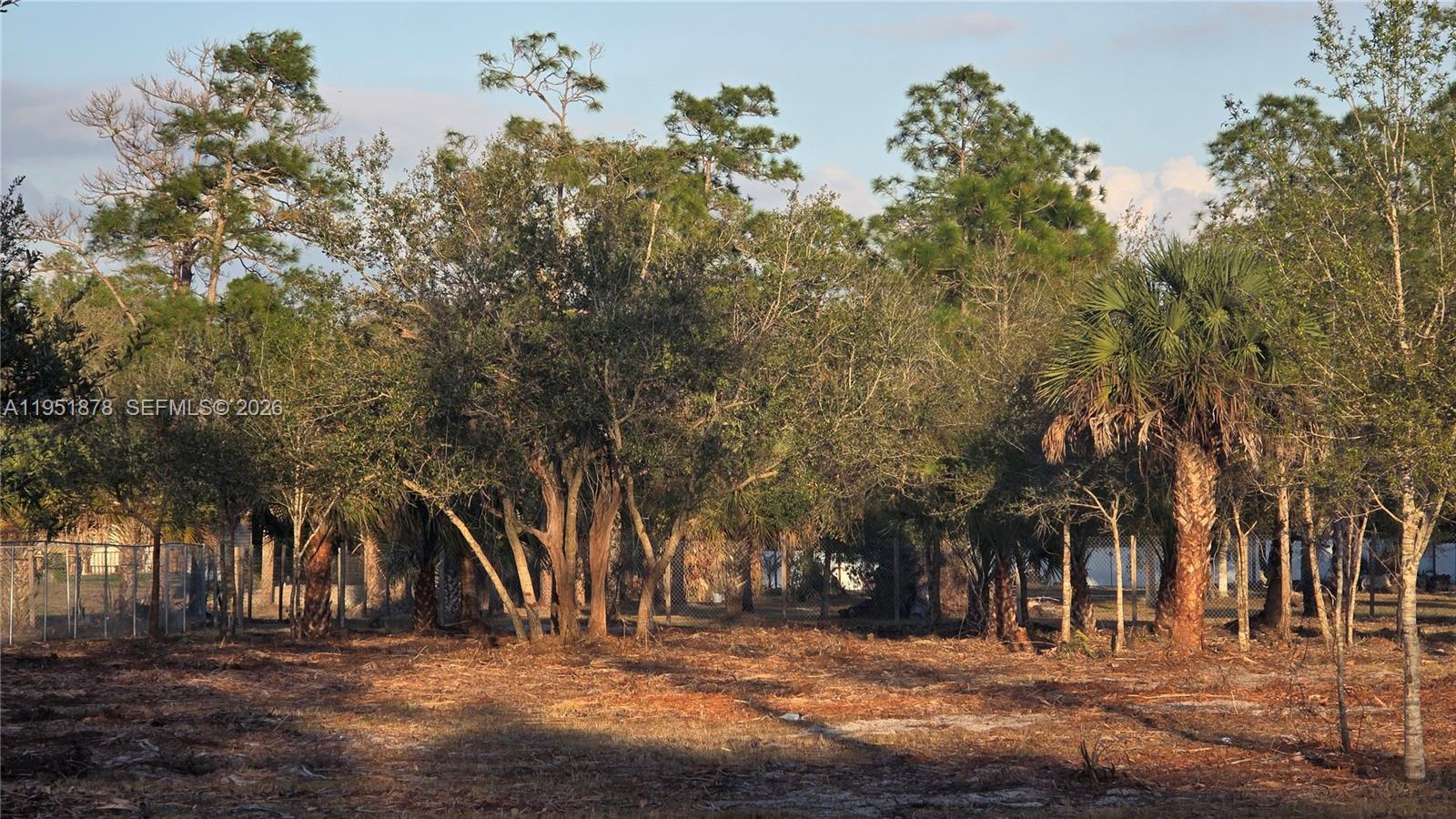 545 South Datil Street Clewiston, FL 33440 - Photo 7 of 13 a view of road with trees