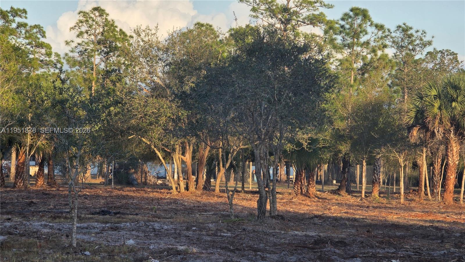 545 South Datil Street Clewiston, FL 33440 - Photo 8 of 13 a view of road with trees