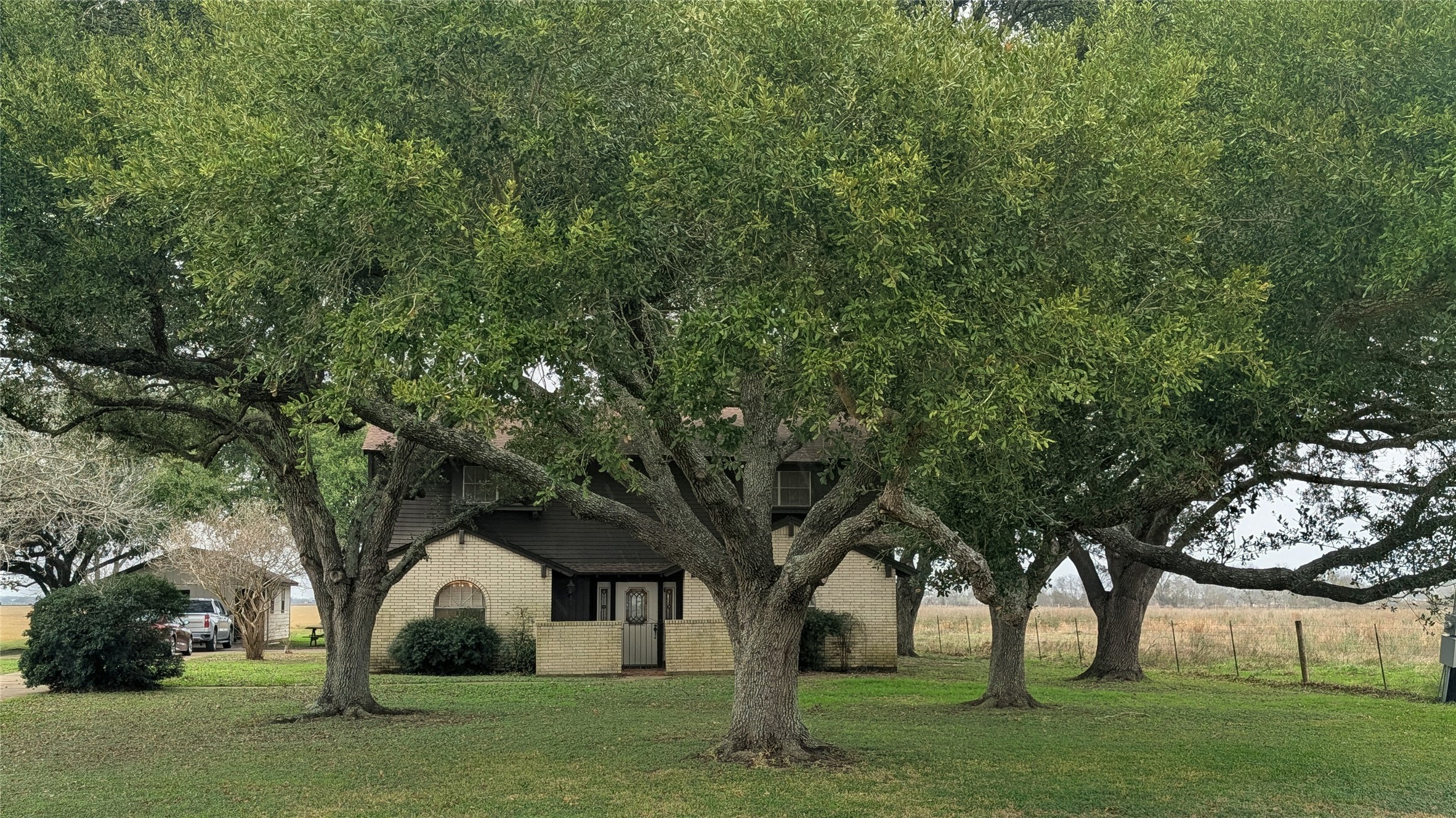 4779 Mixville Road Sealy, TX 77474 - Photo 1 of 37 a large tree in middle of the green field