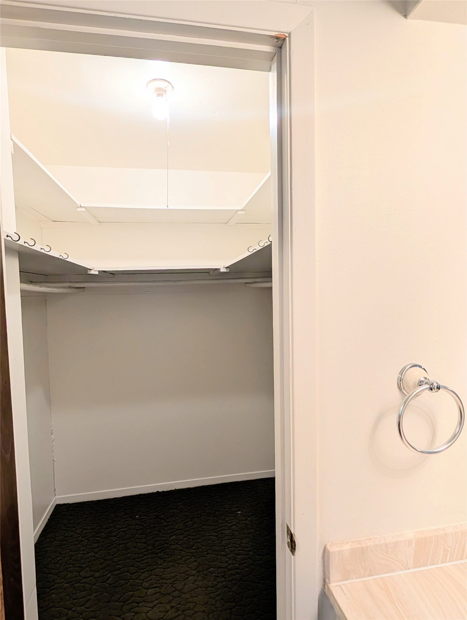 4779 Mixville Road Sealy, TX 77474 - Photo 20 of 47 Walk-in closet with ample shelving and hanging space, accessible through bathroom. The lighting is bright, highlighting the neutral walls.