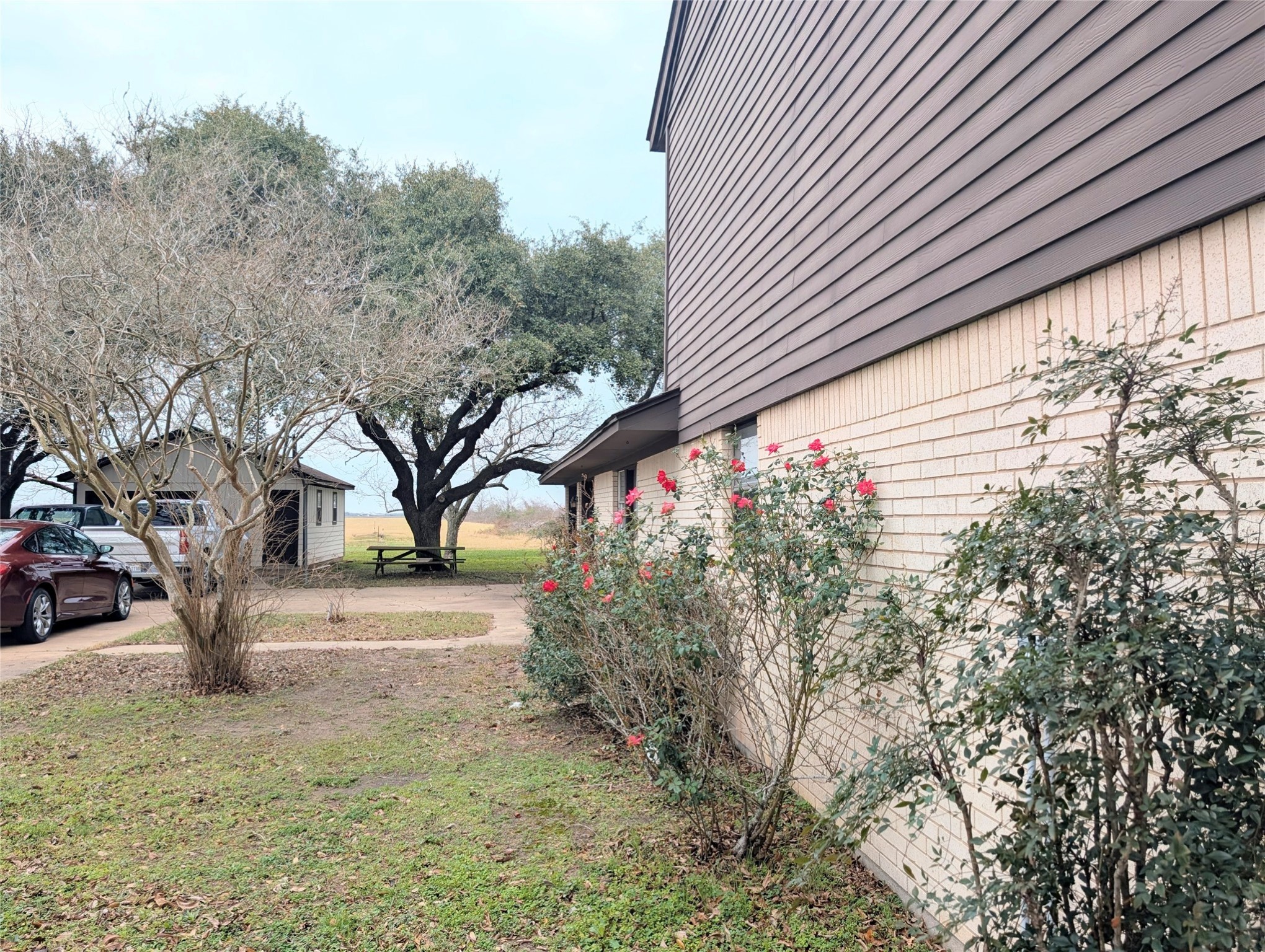 4779 Mixville Road Sealy, TX 77474 - Photo 33 of 37 a street view with large trees
