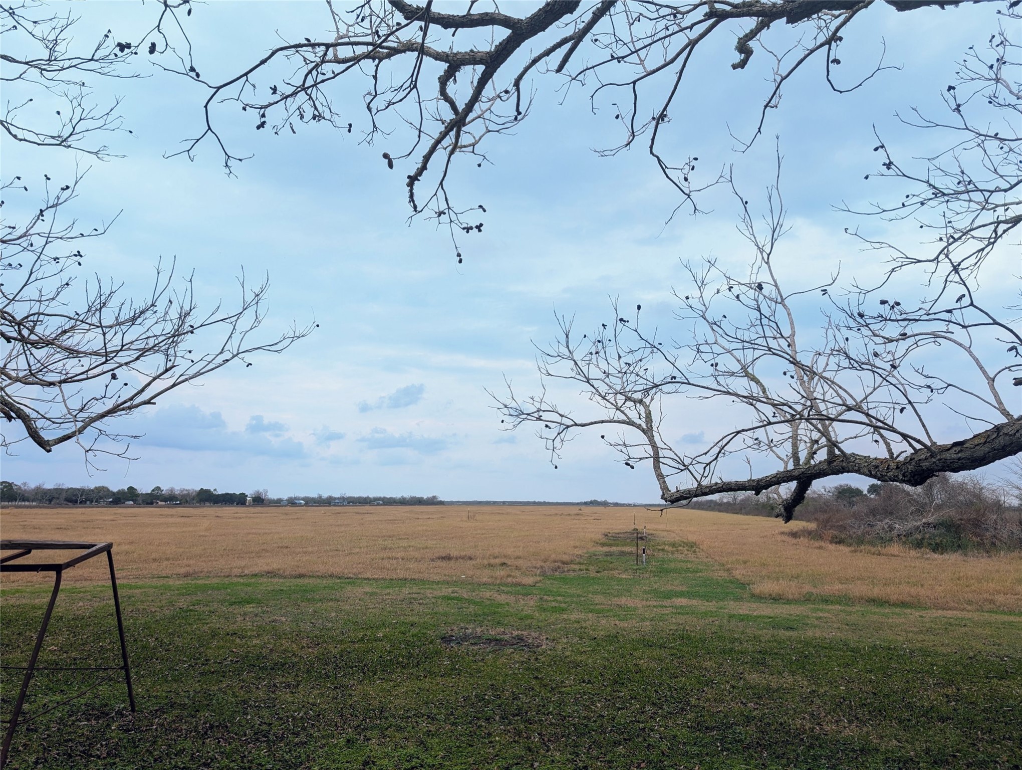 4779 Mixville Road Sealy, TX 77474 - Photo 36 of 37 a view of yard with outdoor space