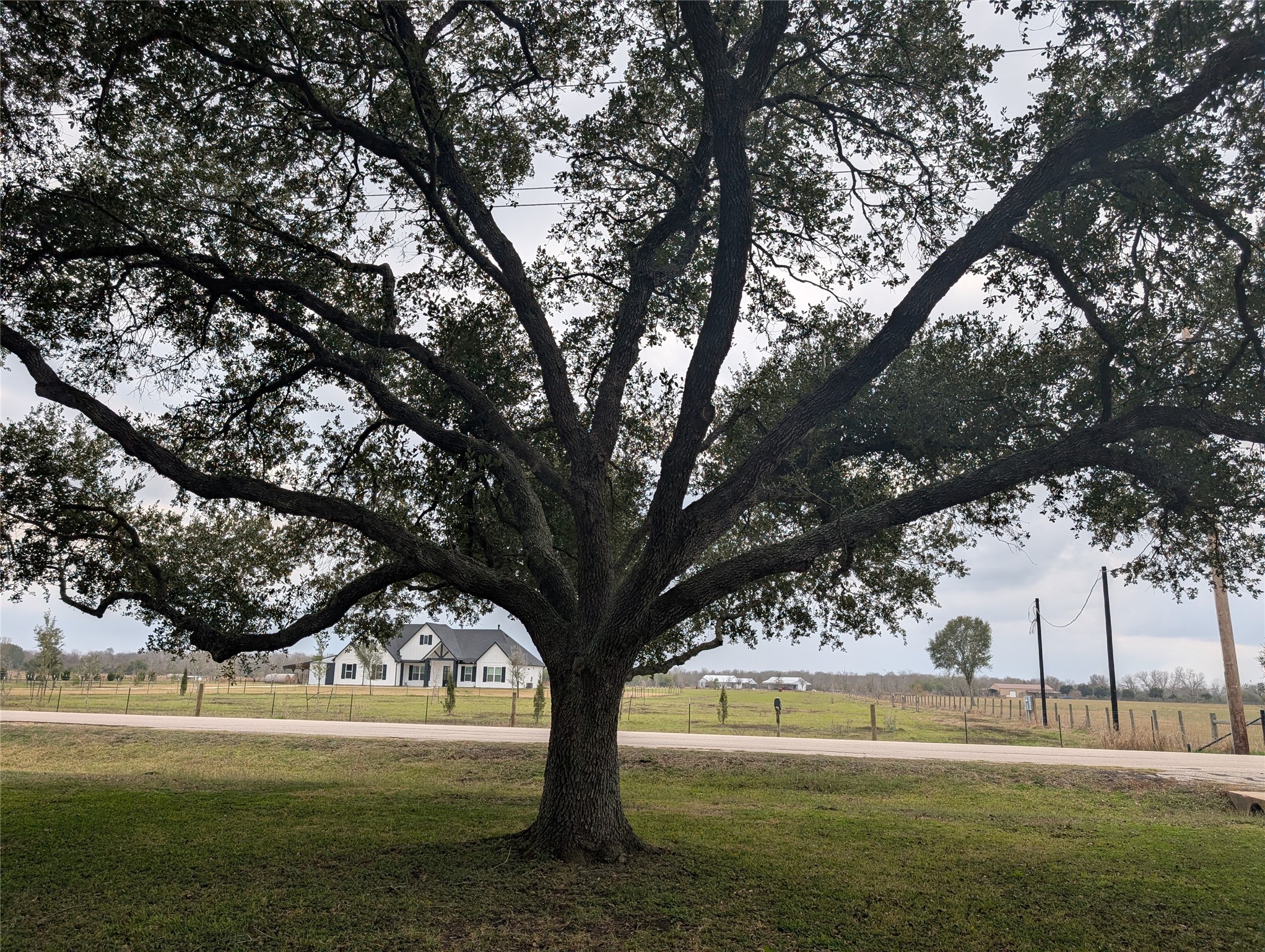 4779 Mixville Road Sealy, TX 77474 - Photo 41 of 47 a view of a yard with large trees