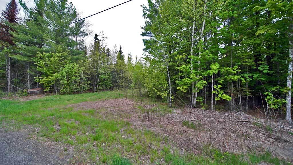 Lot 18 Monument Road Amity, ME 04471 - Photo 9 of 29 18-b-monument-amity-land-5