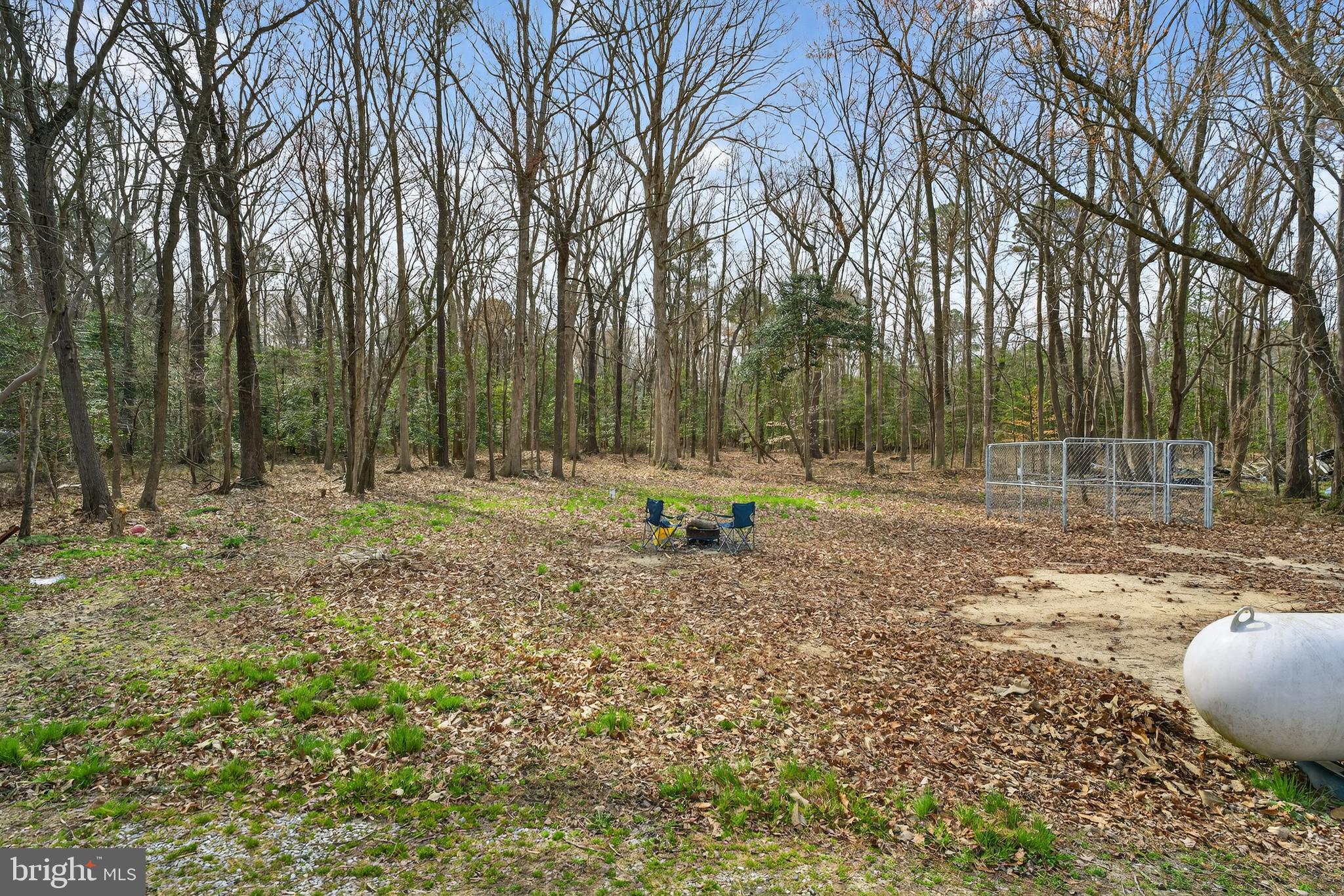 31161 Eden Allen Road Eden, MD 21822 - Photo 25 of 26 a backyard of a house with lots of green space