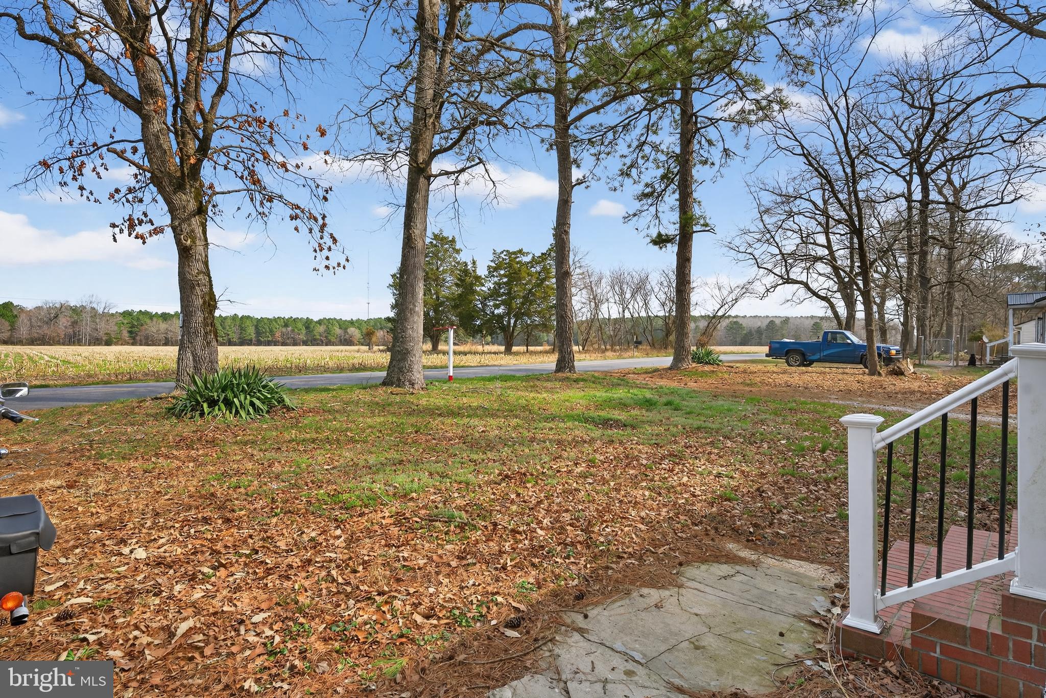 31161 Eden Allen Road Eden, MD 21822 - Photo 26 of 26 a view of a yard with an trees