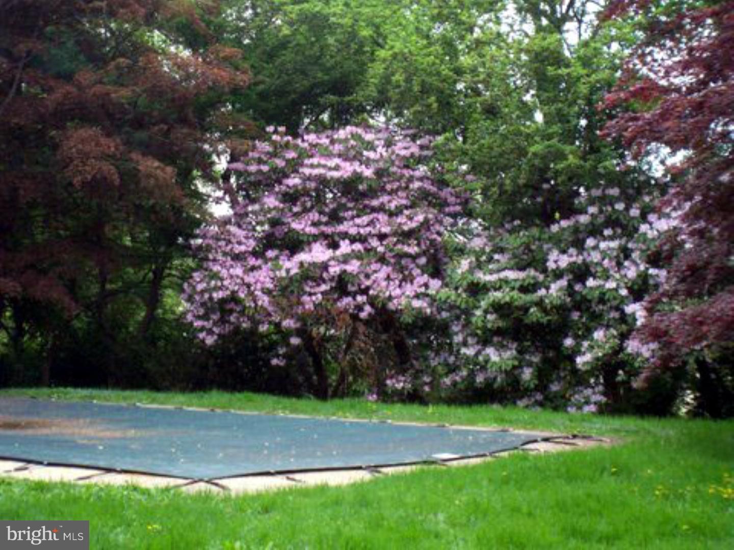 230 Steeplechase Road Devon, PA 19333 - Photo 22 of 24