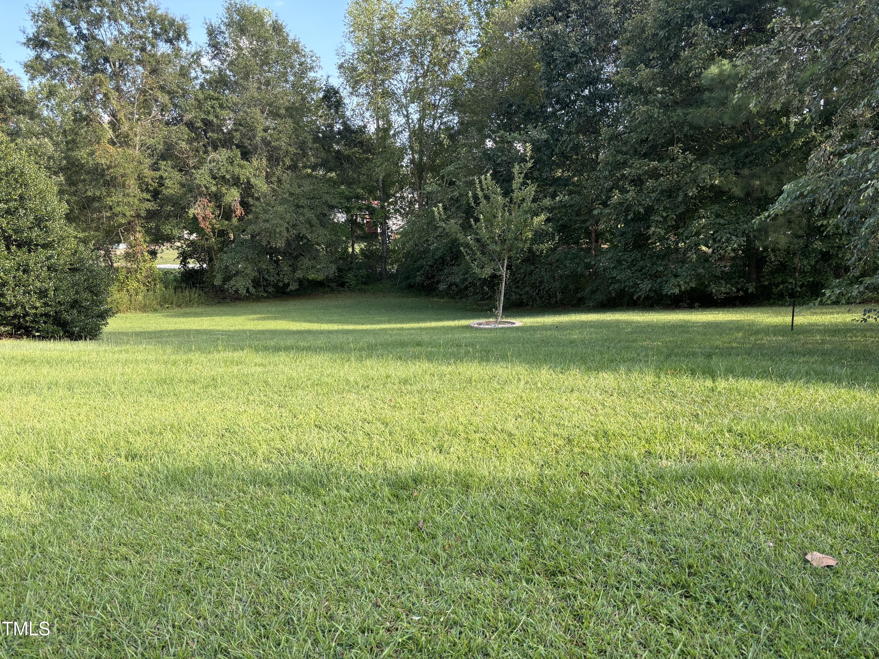 101 Holly Ranch Court Willow Spring, NC 27592 - Photo 13 of 20 Side Yard