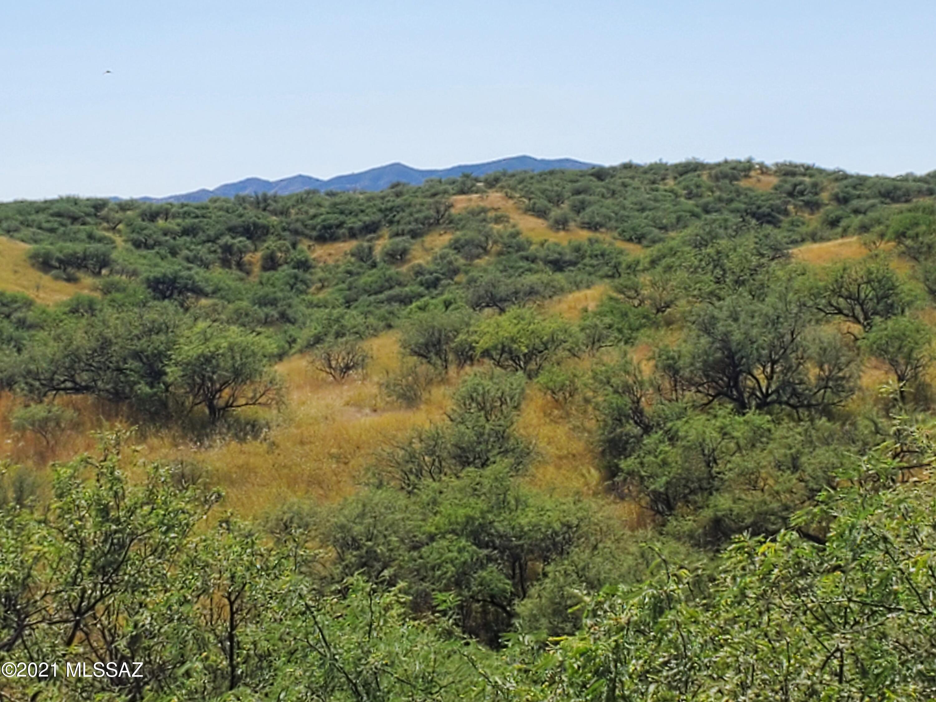 595 Mulberry Corte, Unit 64 Rio Rico, AZ 85648 - Photo 7 of 8