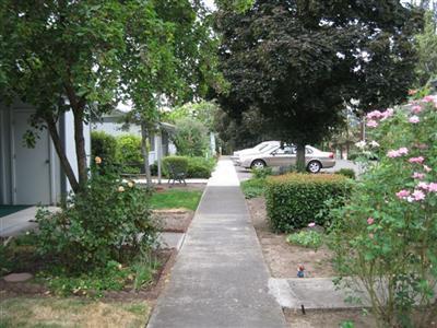 1069 Spring Street Medford, OR 97504 - Photo 11 of 14 Complex parking provides wide single spa