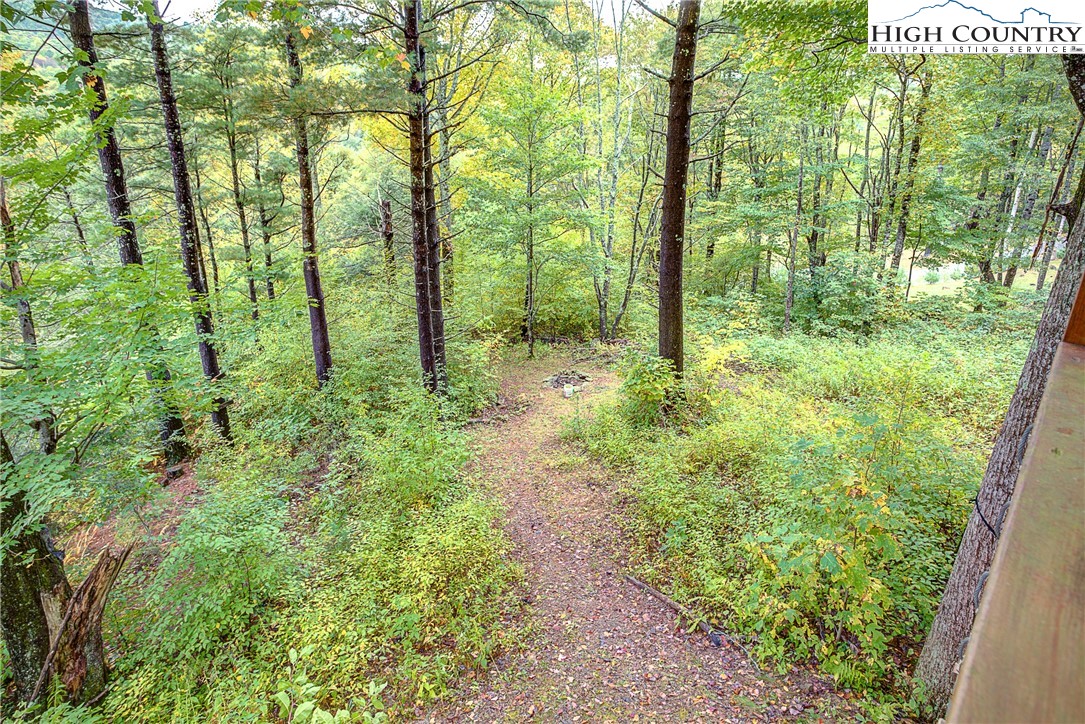 155 Carey Ridge Road Boone, NC 28607 - Photo 23 of 29