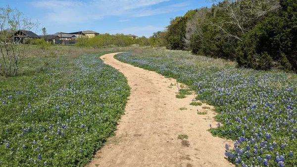 $2,350 | 169 Marcheeta Way, Leander, TX 78641