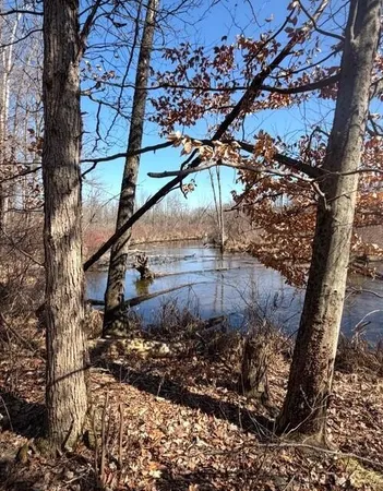 $63,650 | 18821 Brownsville Street, Cassopolis, MI 49031