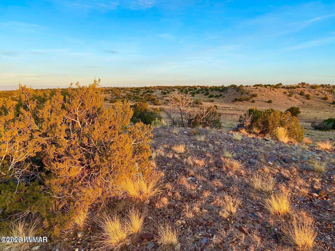 St-johns Az 85936 Ranch St. Johns, AZ 85936 - Photo 9 of 20