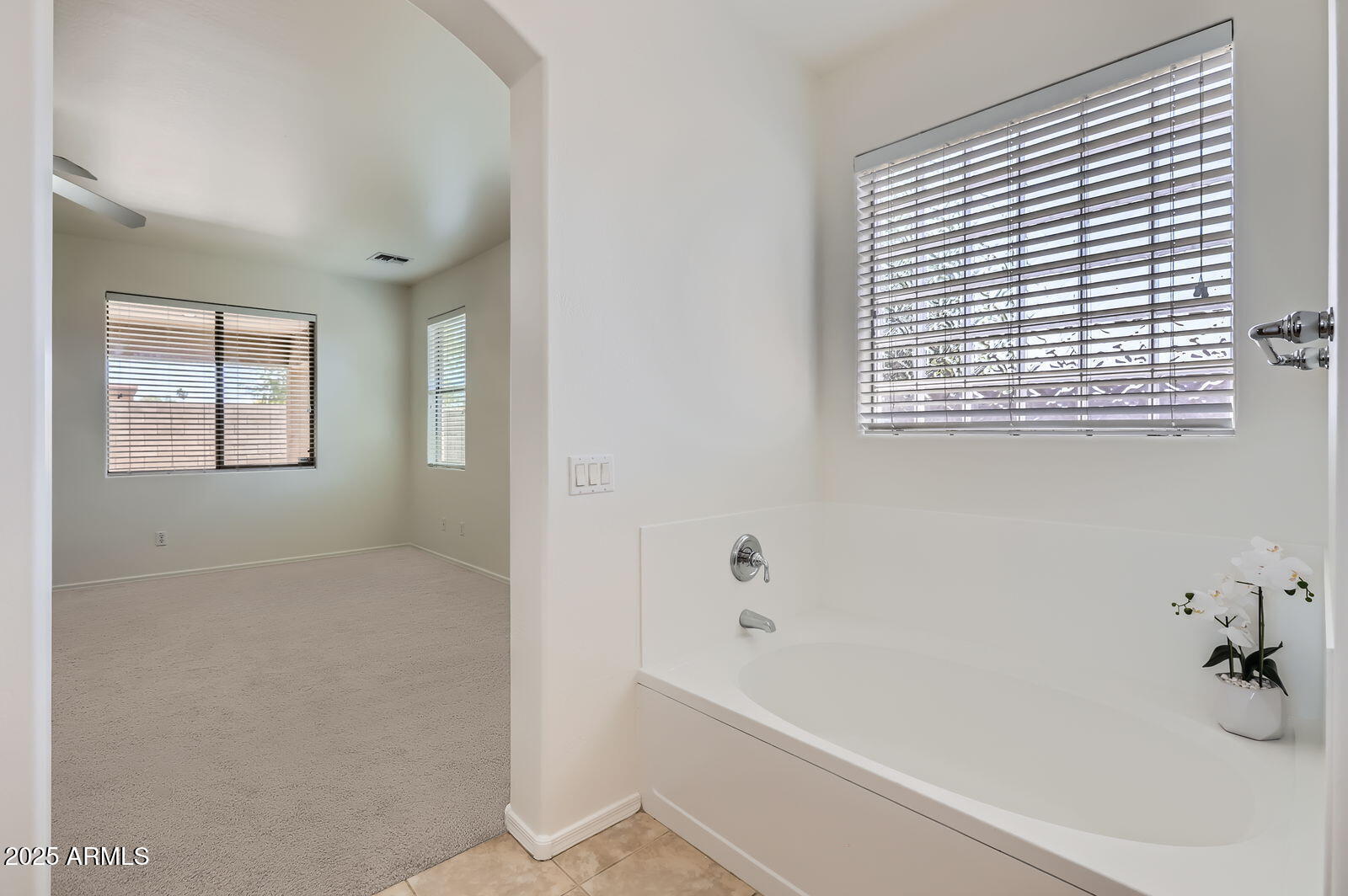 6815 West Carter Road Laveen, AZ 85339 - Photo 19 of 29 Primary Bath