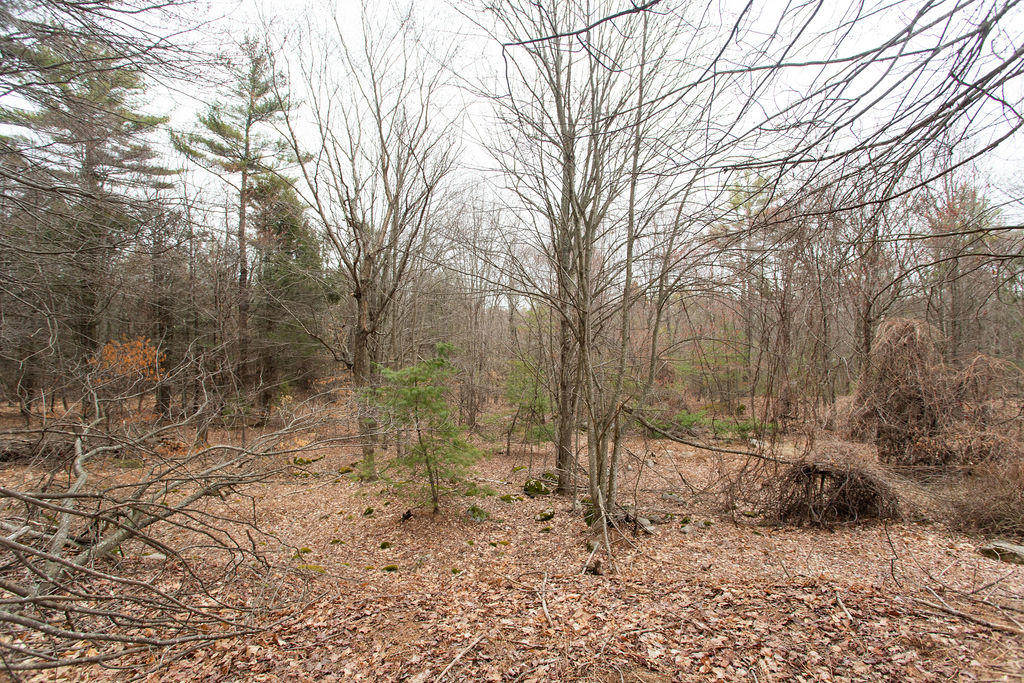 7 Josiah Currier Road Cape Neddick, ME 03902 - Photo 12 of 30 7 Josiah Currier Road