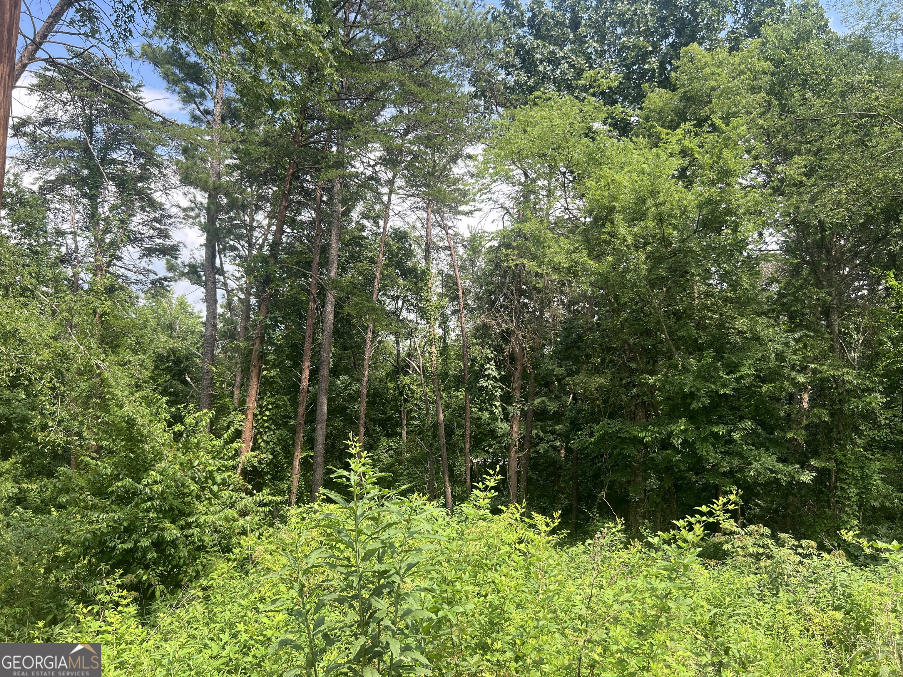 0 College View Drive Rome, GA 30161 - Photo 4 of 4 a view of outdoor space and green space