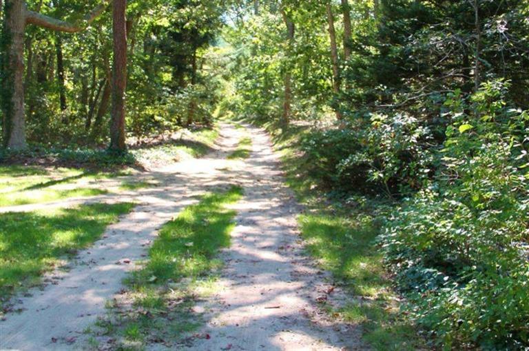 124 Namequoit Road Orleans, MA 02653 - Photo 2 of 30 a view of a yard with plants and large trees