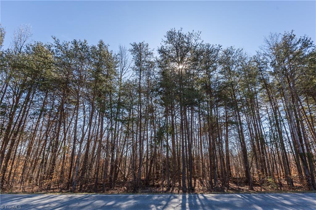 9178 County Line Road Kernersville, NC 27284 - Photo 2 of 28