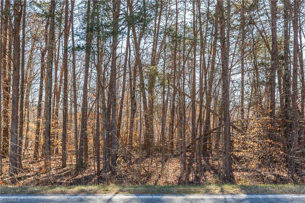 9178 County Line Road Kernersville, NC 27284 - Photo 25 of 28