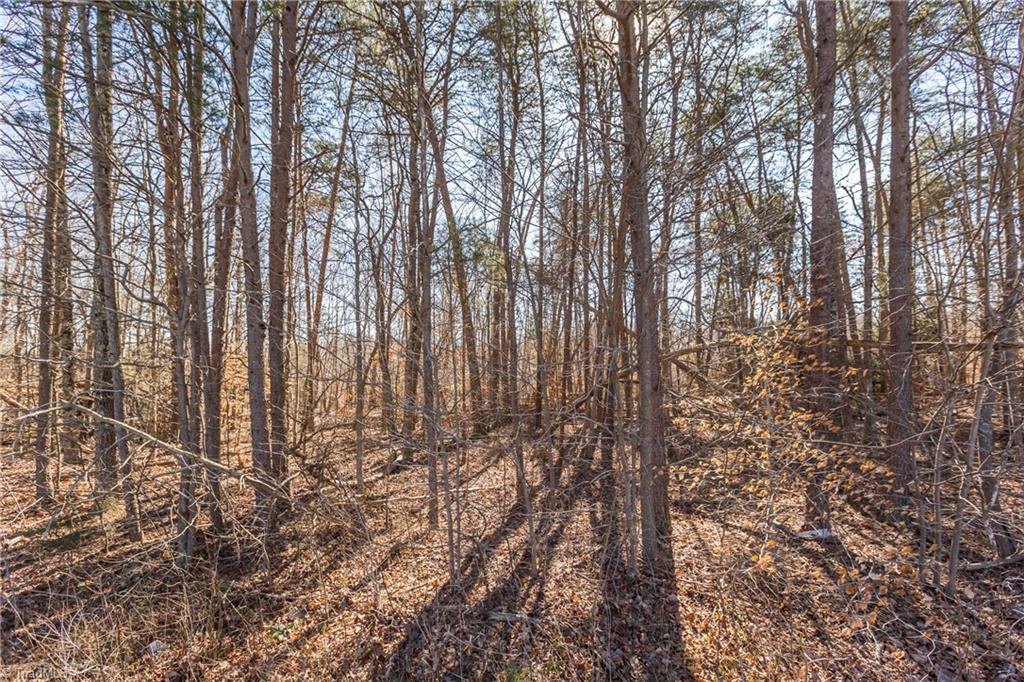 9178 County Line Road Kernersville, NC 27284 - Photo 28 of 28