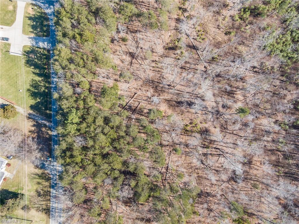 9178 County Line Road Kernersville, NC 27284 - Photo 8 of 28