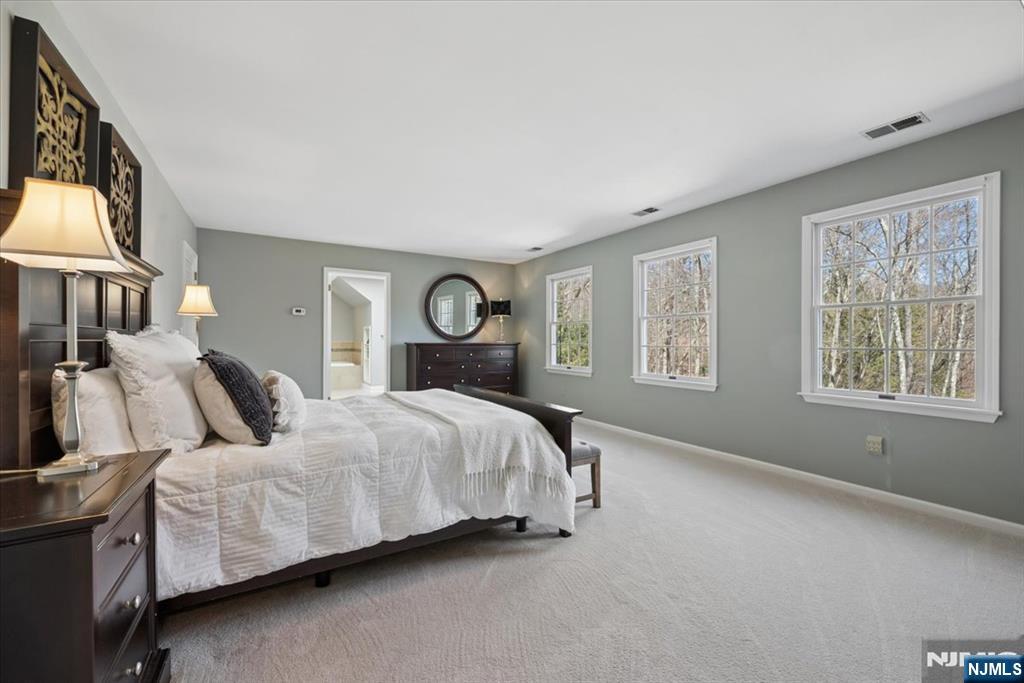 7 Robin Court Chester, NJ 07930 - Photo 23 of 48