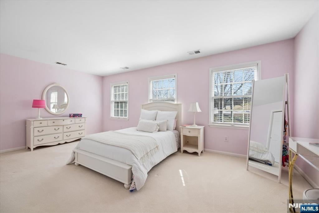 7 Robin Court Chester, NJ 07930 - Photo 30 of 48