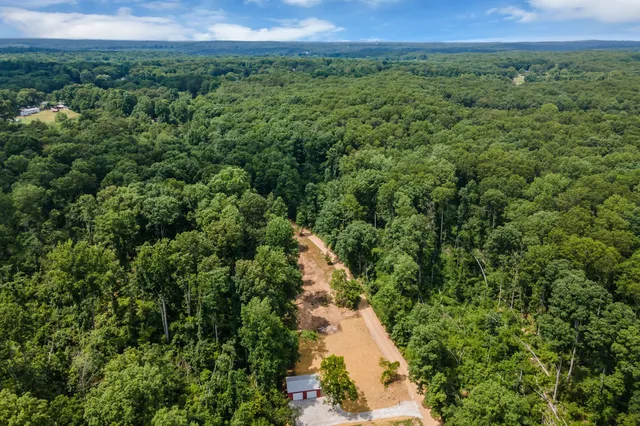 a view of a green field with lots of bushes