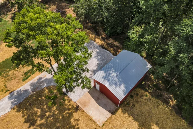 a view of a tree in a yard