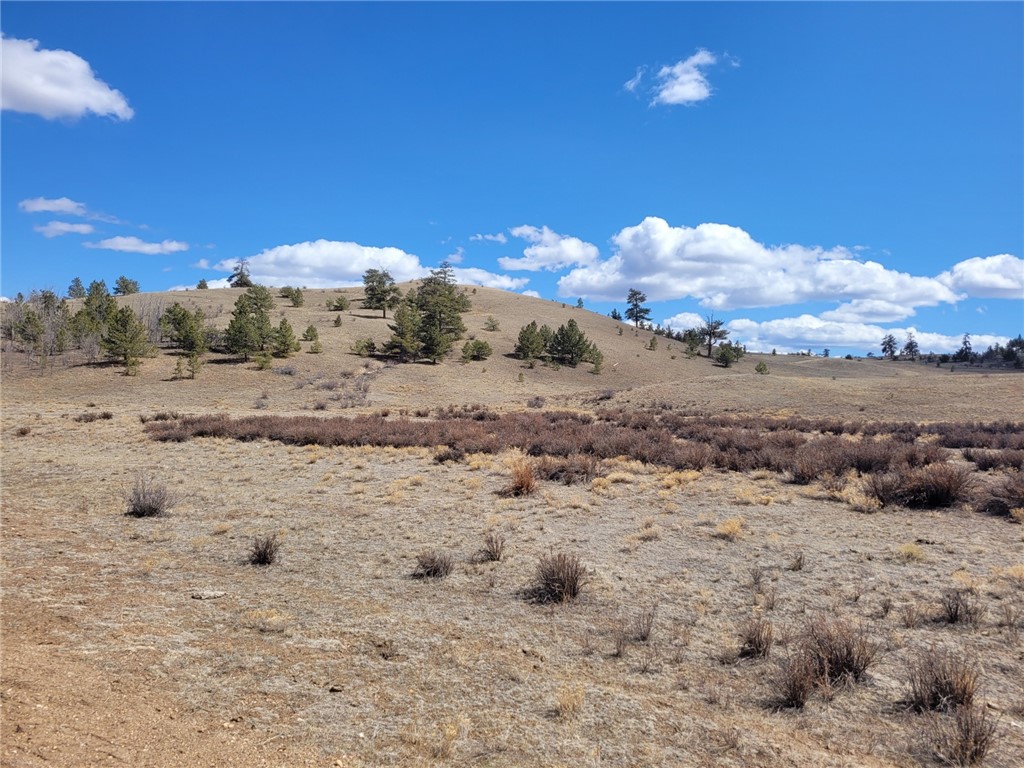 Tdb Cahokia Road Hartsel, CO 80449 - Photo 3 of 5 Lot 62