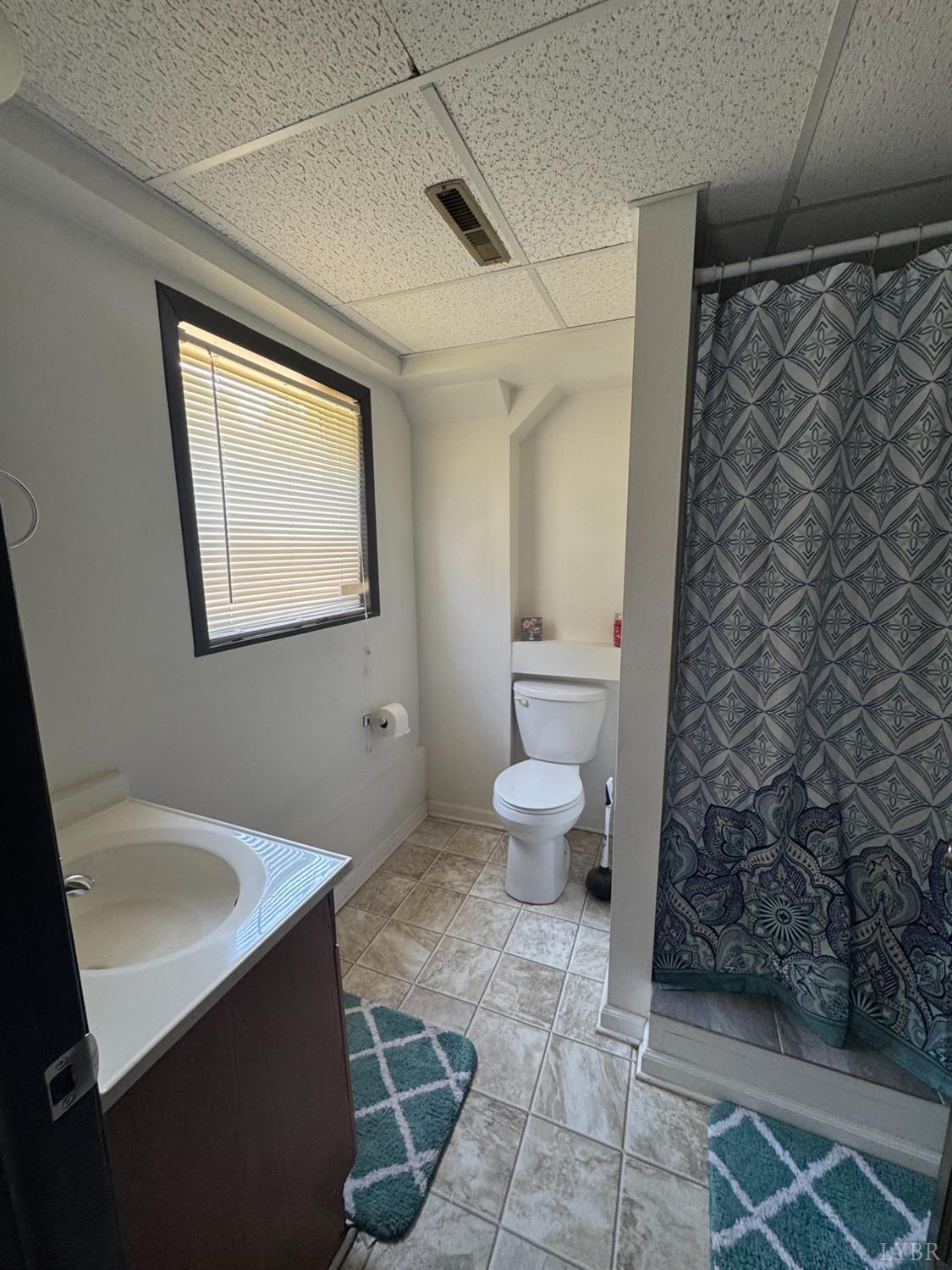 108 Hillside Road Hurt, VA 24563 - Photo 15 of 28 a bathroom with a sink a toilet and shower