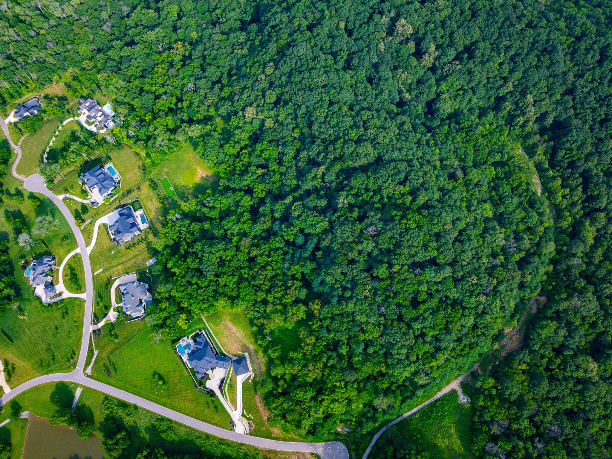 1020 Cartwright Cl Drive Franklin, TN 37069 - Photo 2 of 7 a view of a tree