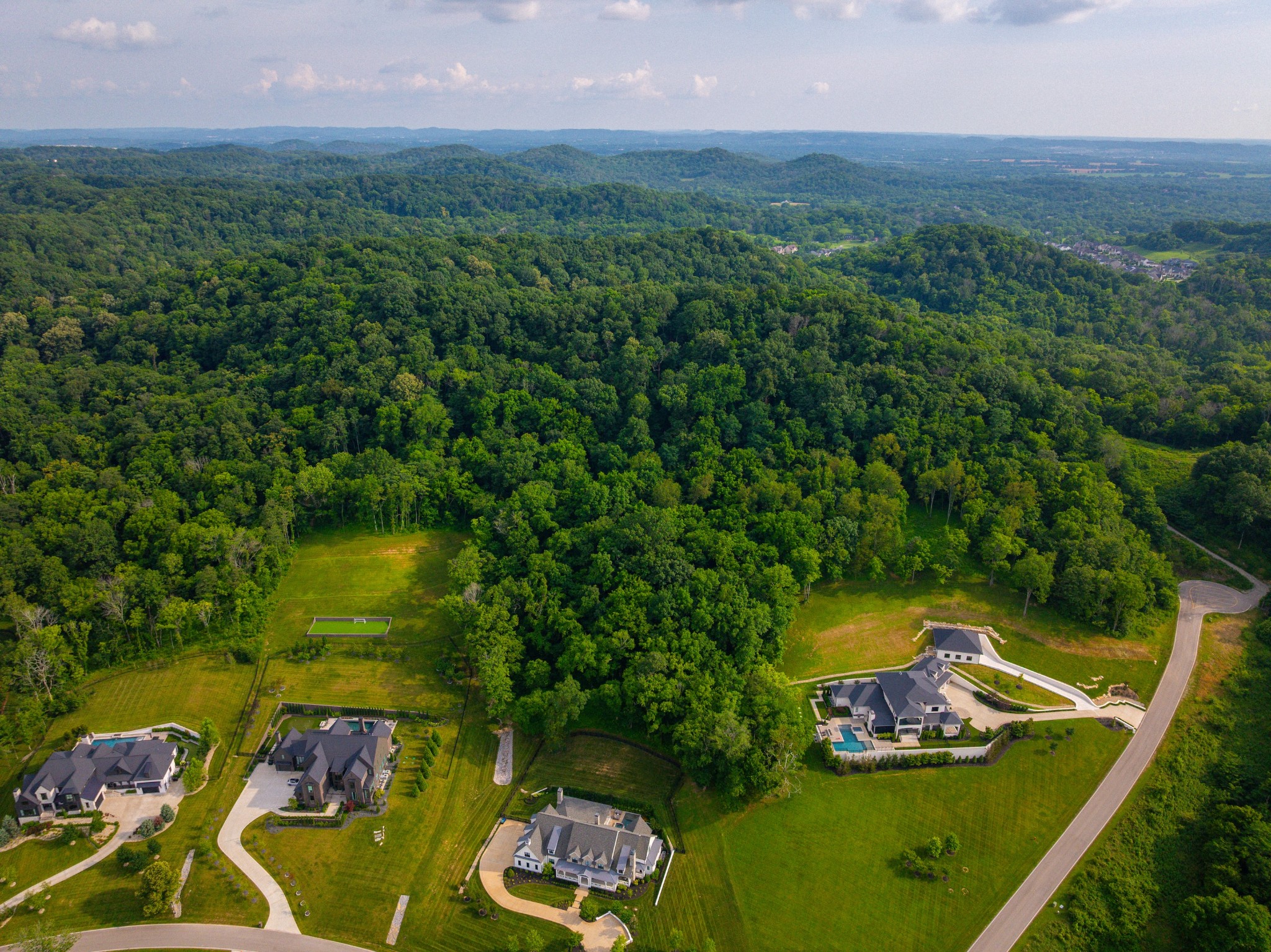 1020 Cartwright Cl Drive Franklin, TN 37069 - Photo 4 of 7 a view of a lake with a house