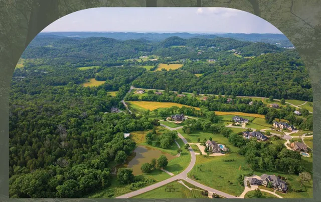 an aerial view of residential houses with outdoor space and trees