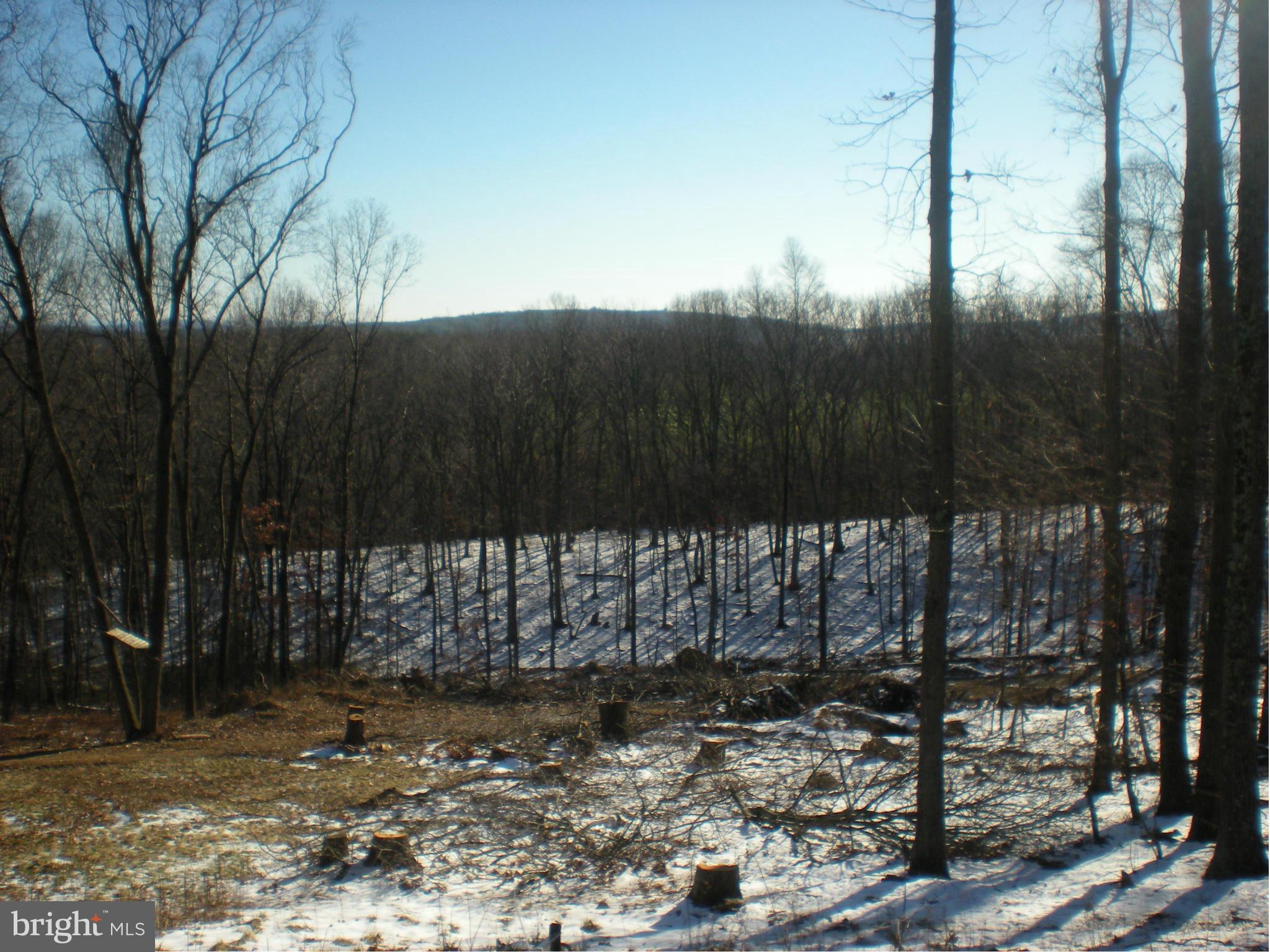 2159 Hunting Ridge Road Winchester, VA 22603 - Photo 1 of 1 Comp for Improvement Only