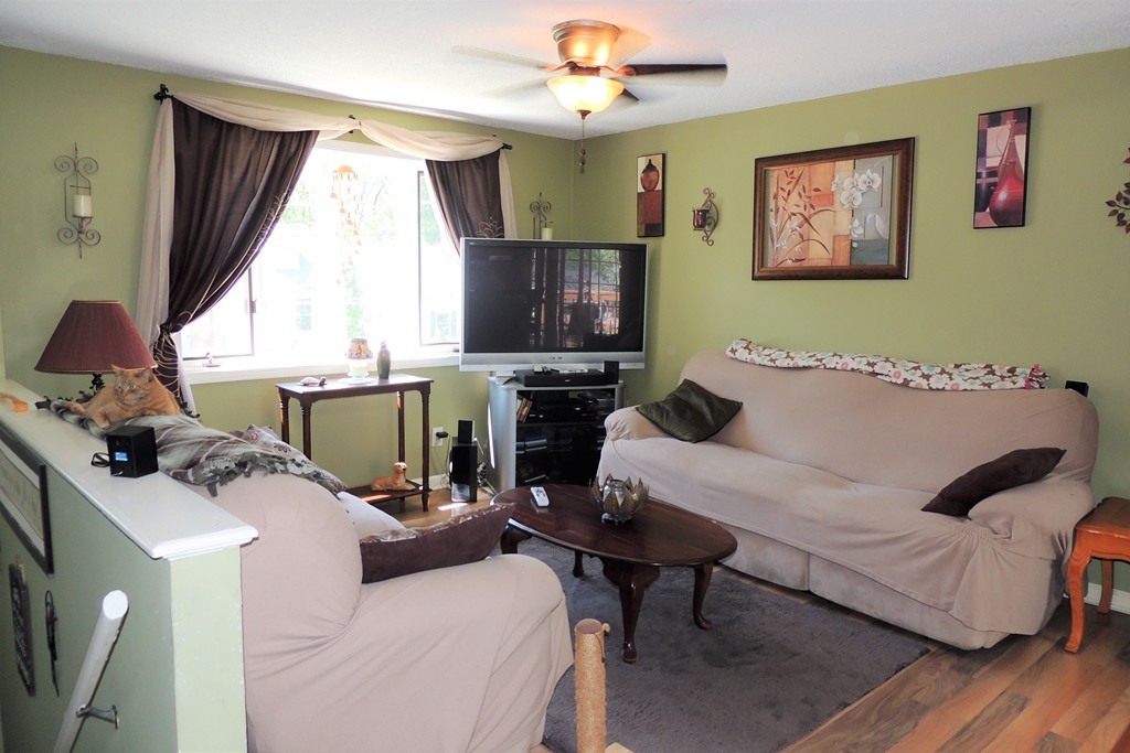 54 Wing Street Springfield, MA 01151 - Photo 3 of 25 Gallery Image 3