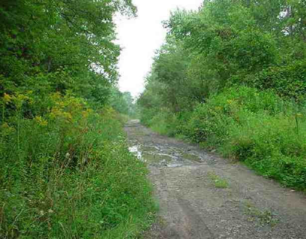 1 Sara Lib Road Fultonville, NY 12072 - Photo 3 of 3 Photo 3