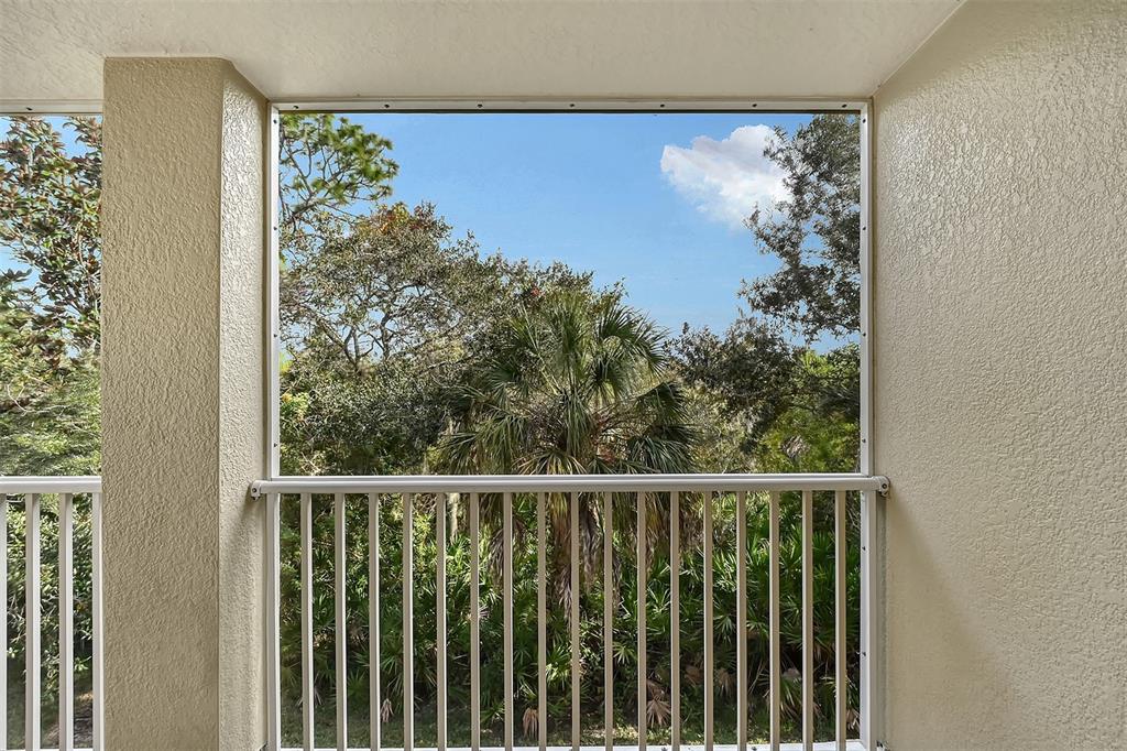 8922 White Sage Loop Lakewood Ranch, FL 34202 - Photo 21 of 65 a view of a balcony